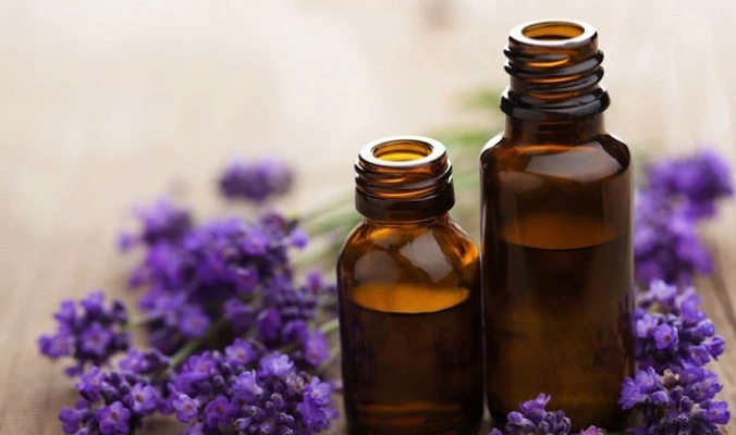 lavender essential oil