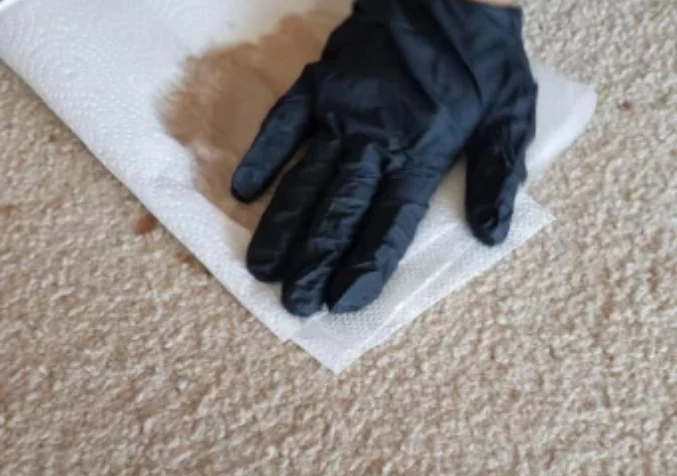 blotting out coke from carpet using paper towel