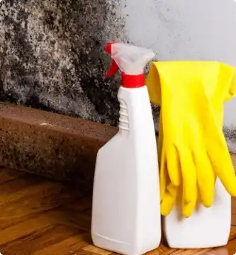 Cleaning Mould On All With Bottle Of Bleach