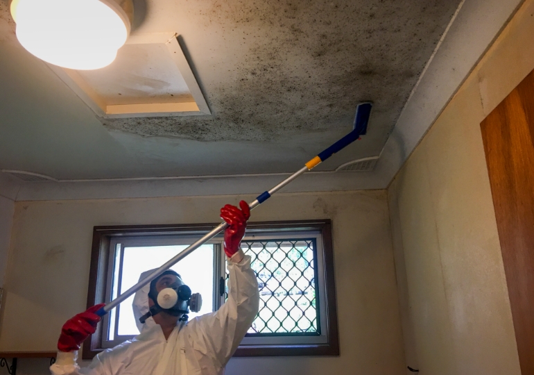 Electrodry technician treating mould-affected wall and restoring indoor surfaces