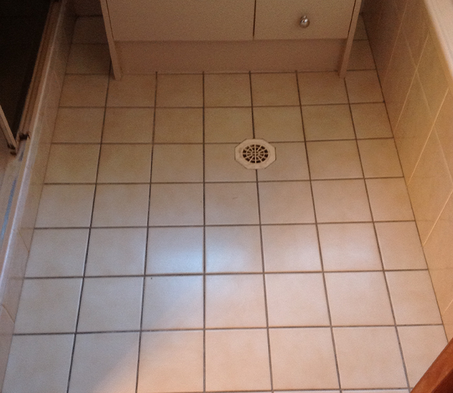 Tile Cleaning 8 Before