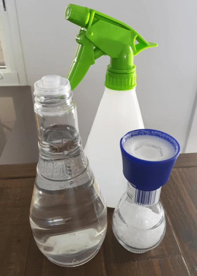 homemade carpet cleaning solution