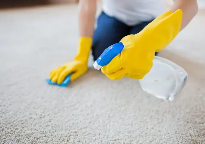 How to get dried pet urine stains out of carpet