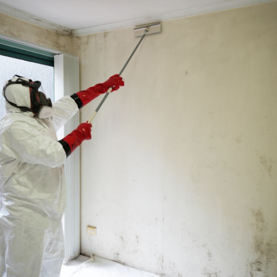 mould removal guide for rentals in Mildura