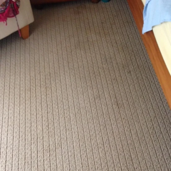 1 Carpet Before