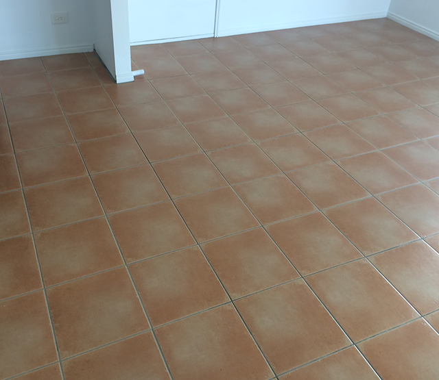 Tile Cleaning 6 Before