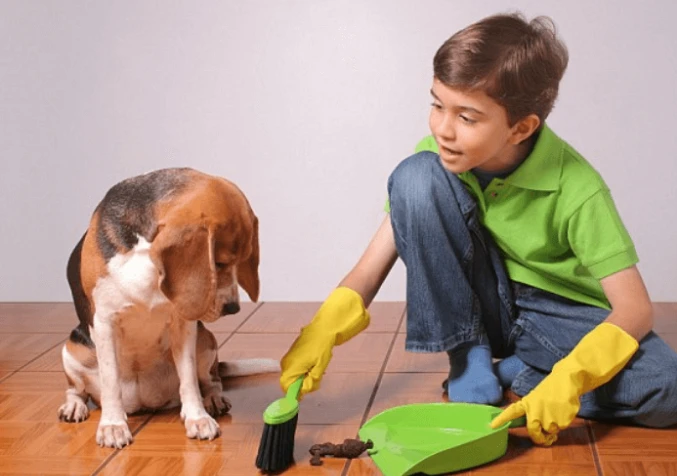 how to teach kids to take care of pets
