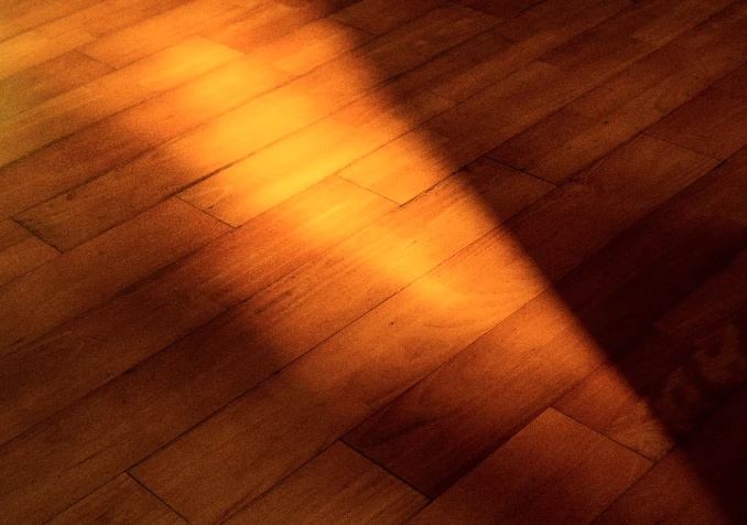 sunbeam on hardwood floor