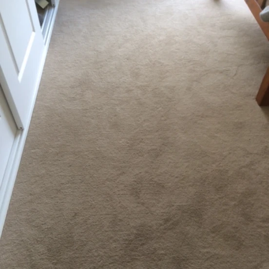 2 Carpet Before