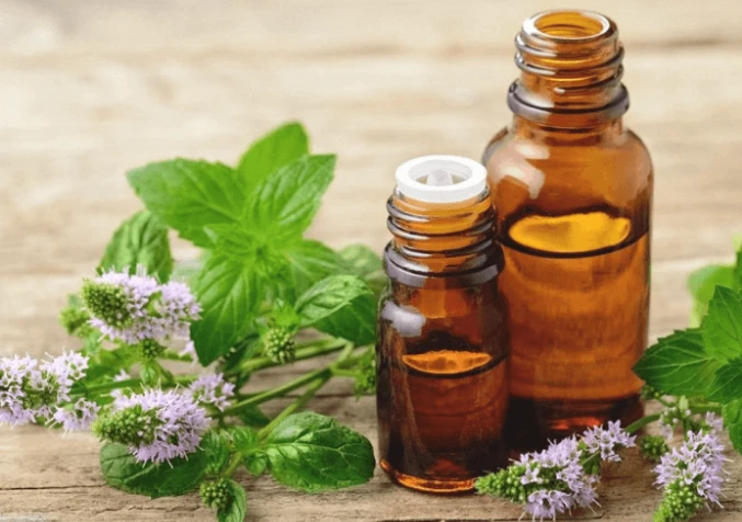 peppermint essential oil