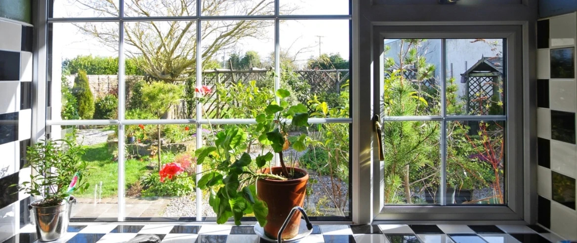 Plant Inside A Tiled Room Near A Window Pane