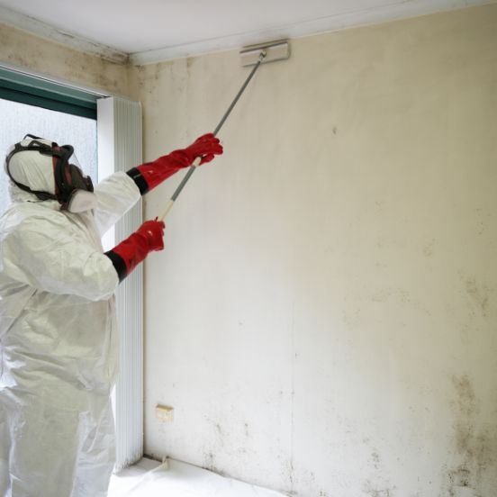 mould removal service in Bairnsdale