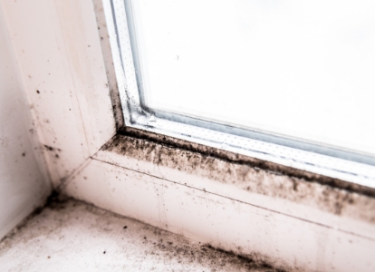 Visible mould on a damp wall caused by high humidity indoors