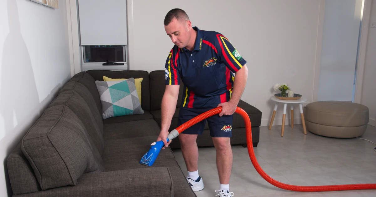 upholstery cleaners Taree