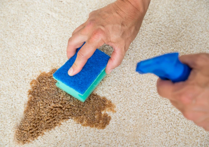 spraying water to coffee stain on carpet