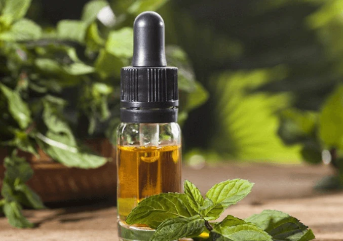 peppermint essential oil