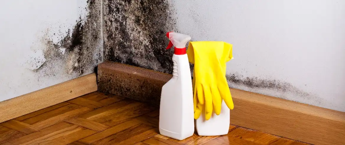 how to remove mould from walls