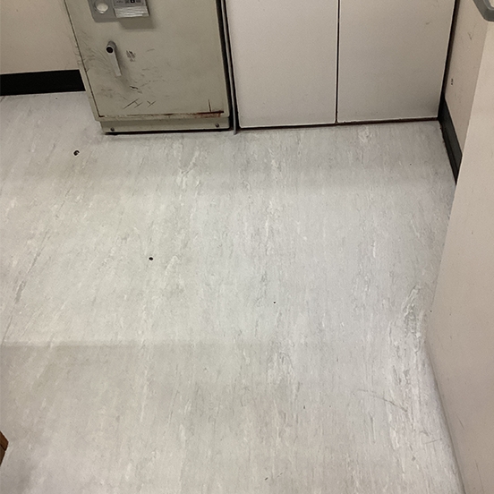 Vinyl Strip And Seal After 2