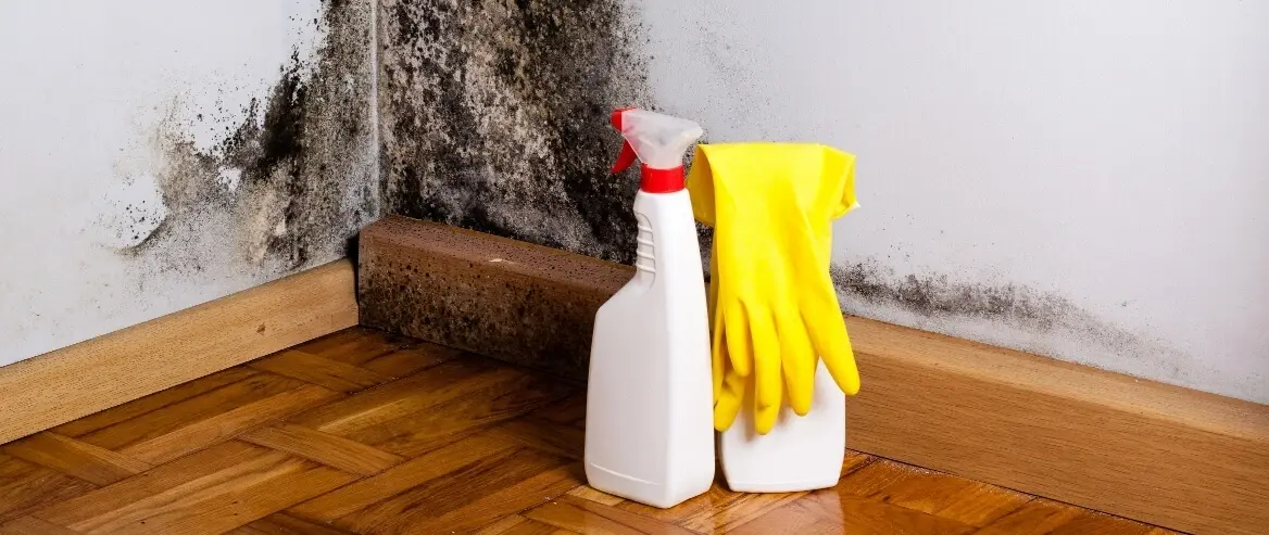 do not use bleach for mould removal