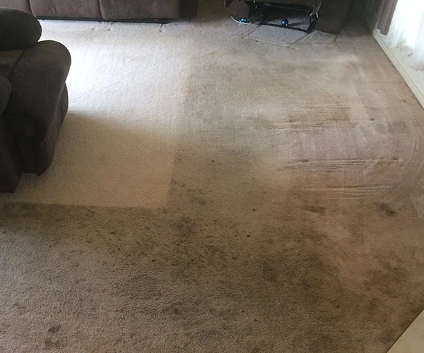 Carpet Cleaning 08 Before
