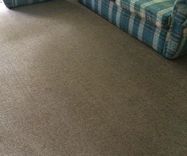 Carpet Cleaning 09 After