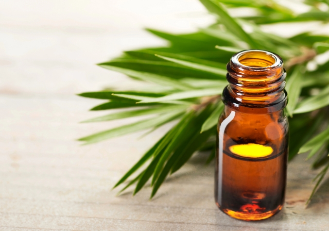 Tea tree oil solution mould treatment