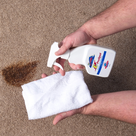 carpet stain removal hobart
