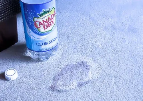 opened soda water in a plastic bottle placed in the carpet floor
