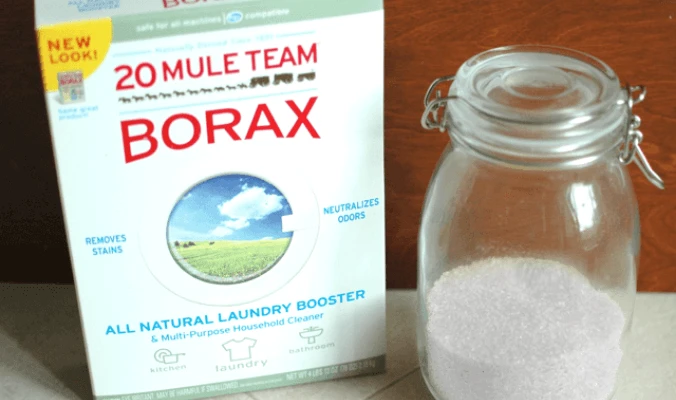repel ants naturally with borax