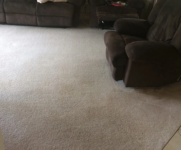 Carpet Cleaning 08 After