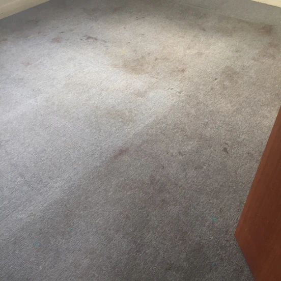 8 Carpet Before