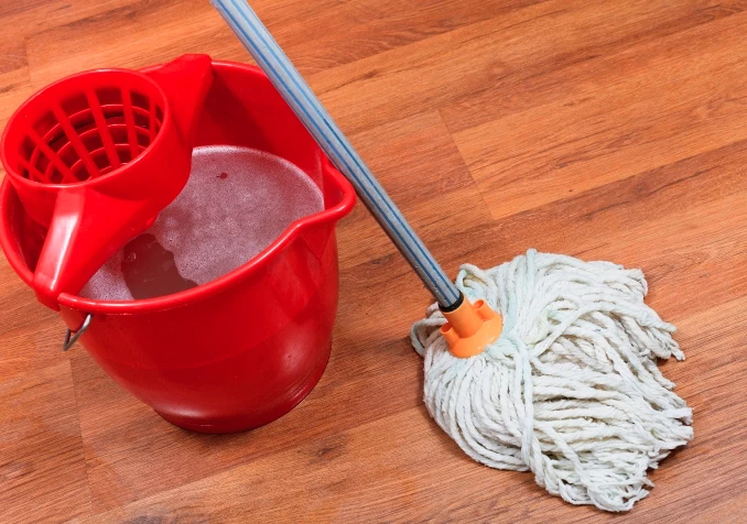 mop and bucket of water on wooden floors