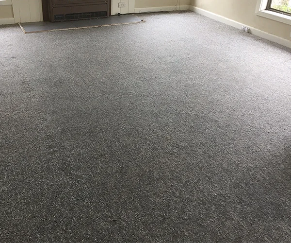 Carpet Cleaning 05 After