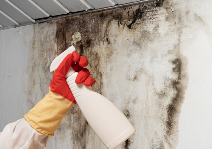 why treating mould with bleach is not recommended