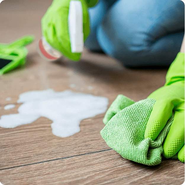 Woman Spill E Liminate Spray On Floor Cleaning With Green Cloth