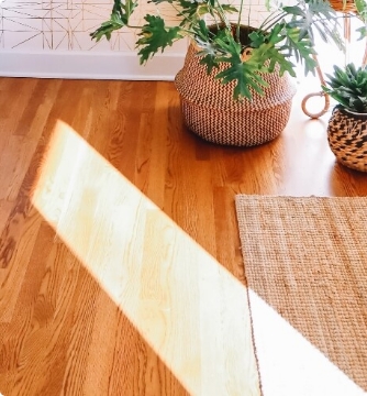 Wood Floor With Plants And Rug Clean Sun Reflection