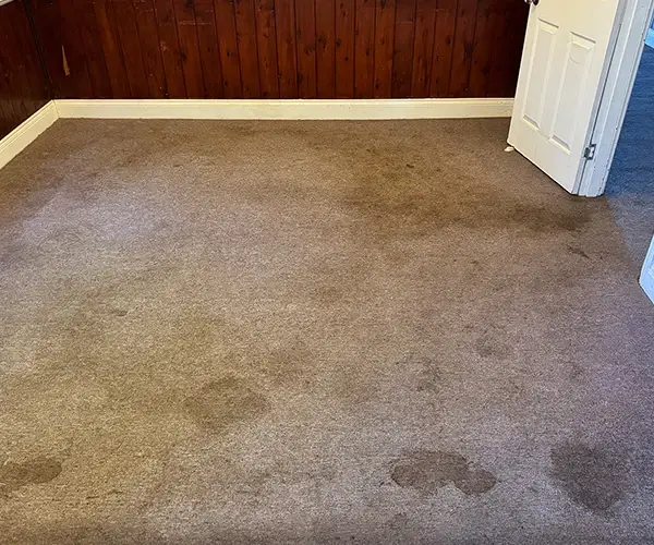 Carpet Cleaning 03 Before