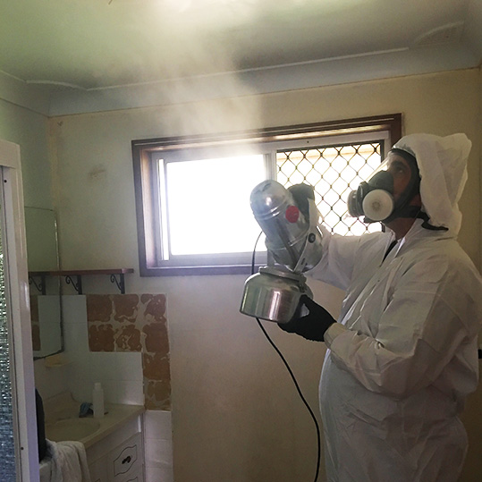 Mould Removal in Bundaberg