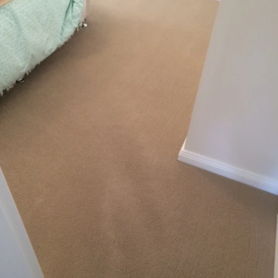 3 Carpet After