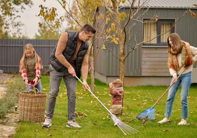 keep your yard clean and maintained properly