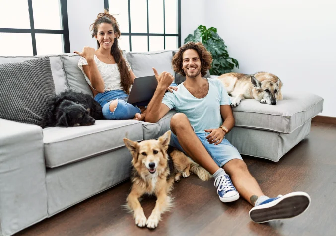 Dog pee in couch hot sale cushion