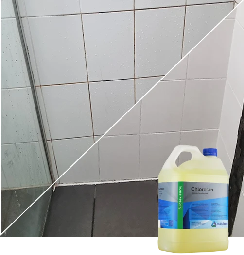 tile and grout mould and mildew removal mildura