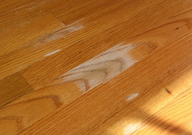 hardwood floors with white spots