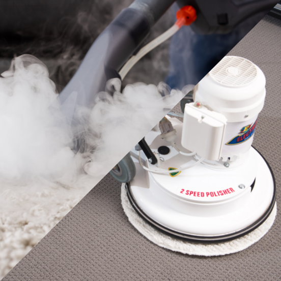 professional carpet cleaners spring hill qld