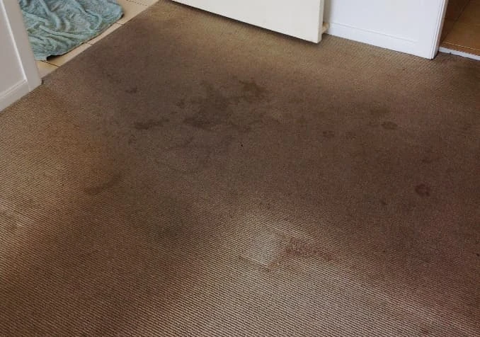 marks on carpet from walking barefoot on it
