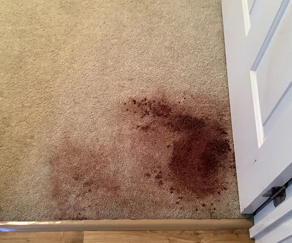 Carpet Cleaning 02 Before