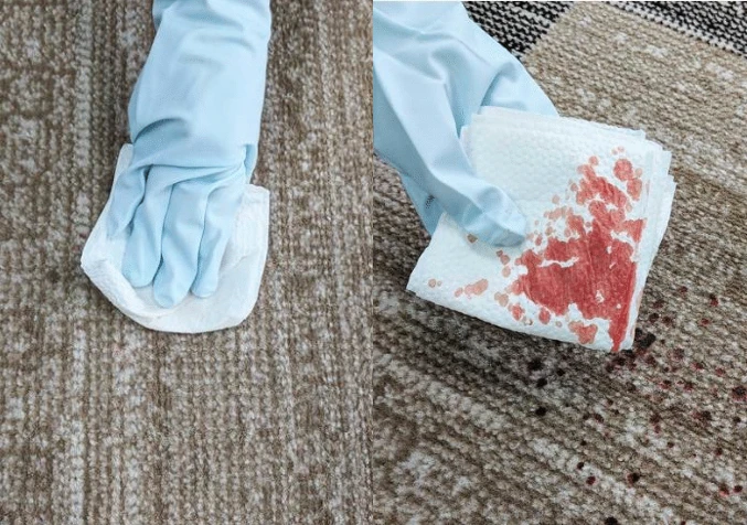 Blotting fresh blood stain on carpet with white towel without rubbing
