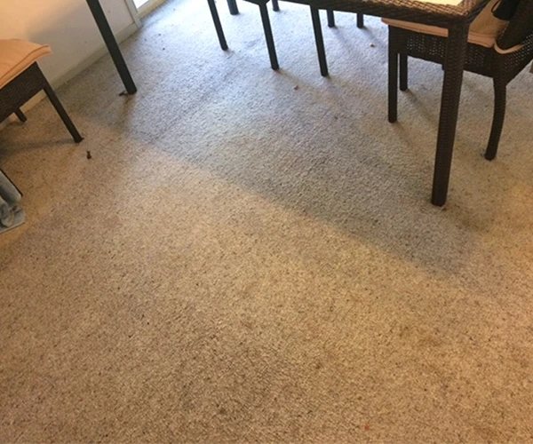 Carpet Cleaning 01 After