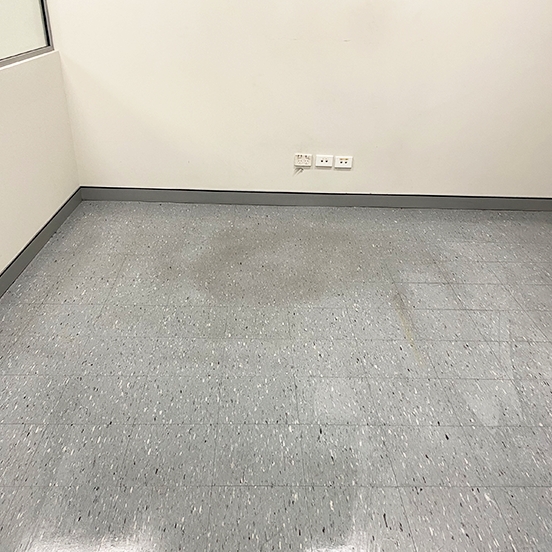 Vinyl Strip And Seal After 1