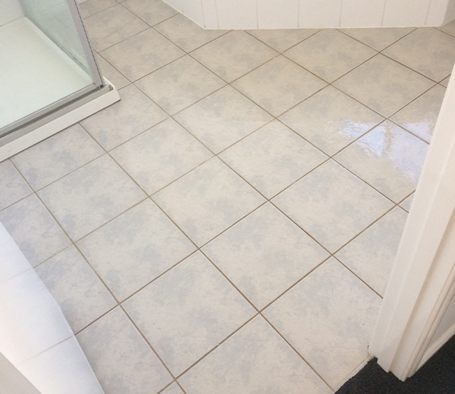 Tile Cleaning 7 Before